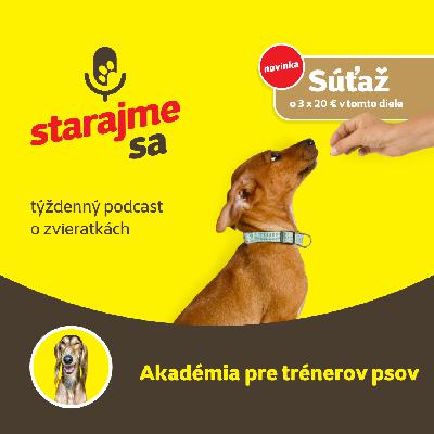 Psy: Akadémia pre trenérov psov Psy: Akadémia pre trenérov psov