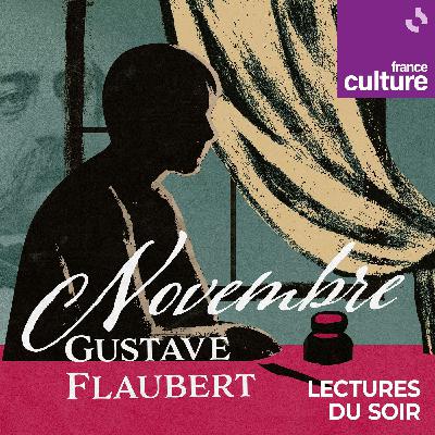 "Novembre" de Gustave Flaubert 1/5 : Le vertige des années