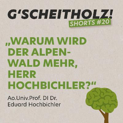 G'SCHEITHOLZ! Shorts #20 - Warum wird der Alpenwald mehr, Herr Hochbichler ?