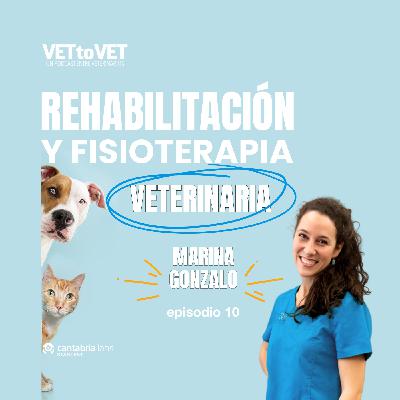 Rehabilitación y Fisioterapia Veterinaria, Marina Gonzalo, E 10 Podcast Vet to Vet
