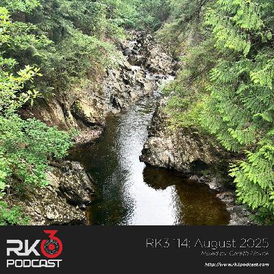 RK3 114: August 2025