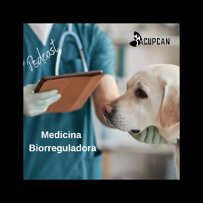 MEDICINA BIORREGULADORA... ¿QUÉ ES?