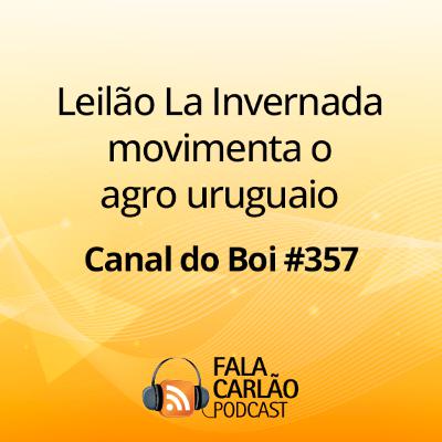 Leilão La Invernada movimenta o agro uruguaio | Canal do Boi #357
