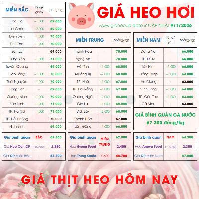 GIÁ HEO HƠI 9/1/2026 ✅ GIÁ THỊT LỢN & TIN TỨC CHĂN NUÔI #GIAHEOHOI #GIATHITHEO #GIAHEOUPDATE