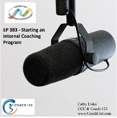 EP 383 - Starting an Internal Coaching Program