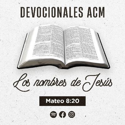 Los nombres de Jesús | Mateo 8:20 Los nombres de Jesús | Mateo 8:20