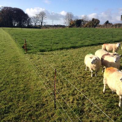 November Grass update