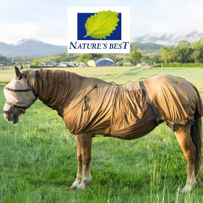 Sommerekzem Sommerekzem