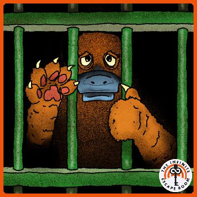 Timpson's Prisons: Stupid Sexy Aardvarks