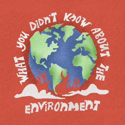 5: What you didn't know about the Environment: Coffee and Chocolate