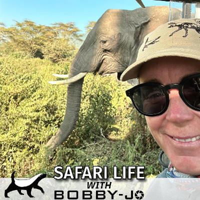 Ep2: Safari Season Begins – Cheetahs, Chocolate & Honey Badgers