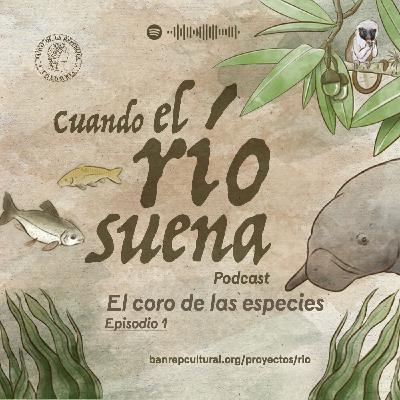 Cuando el río suena • El coro de las especies 1:  el caminar del río