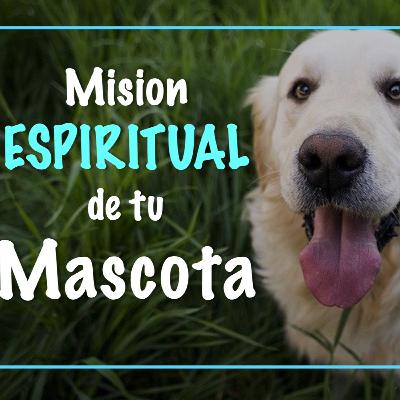Mision ESPIRITUAL de tu Perrito Mision ESPIRITUAL de tu Perrito