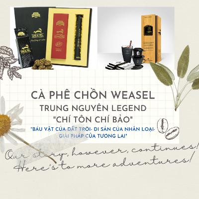 Ly Cà Phê số 02 | NHỮNG LOẠI CÀ PHÊ ĐẶC BIỆT Ly Cà Phê số 02 | NHỮNG LOẠI CÀ PHÊ ĐẶC BIỆT