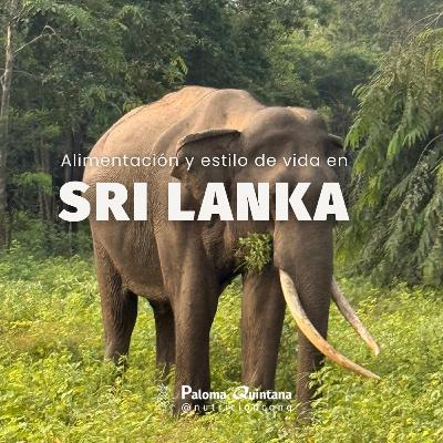 41. Sri Lanka me lo puso difícil... ahí se construyen hábitos saludables de verdad 41. Sri Lanka me lo puso difícil... ahí se construyen hábitos saludables de verdad