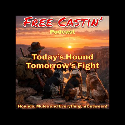 Todays Hound, Tomorrows Fight!