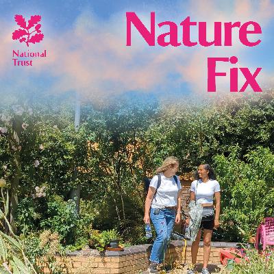 Motherhood and Connection with City Girl in Nature