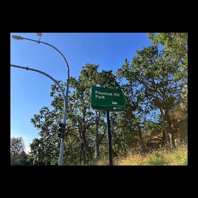 Peacock Hill Run