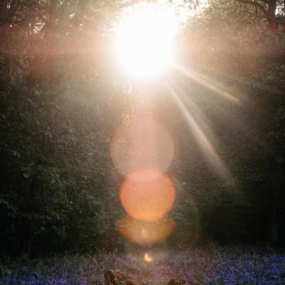 El Perdón #Ejercicio #Libertad #Conciencia #Luz #Reconciliación