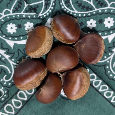 『話半分で👍🏻』 #1518  ‘25,10,16 世界食料デー 『話半分で👍🏻』 #1518  ‘25,10,16 世界食料デー