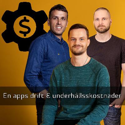En apps drift & underhållsskostnader