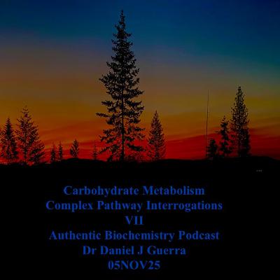 Carbohydrate Metabolism Complex Pathway Interrogations VII Authentic Biochemistry Podcast Dr Daniel J Guerra 05NOV25