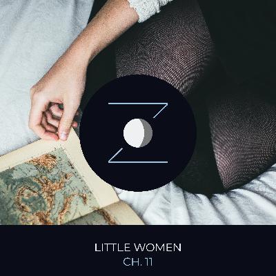 Little Women ch. 11 "Experiments"