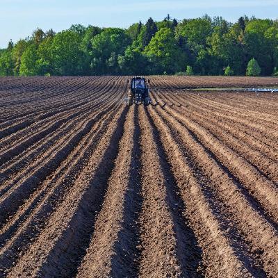 Disparition des sols et Ugo Nanni Disparition des sols et Ugo Nanni