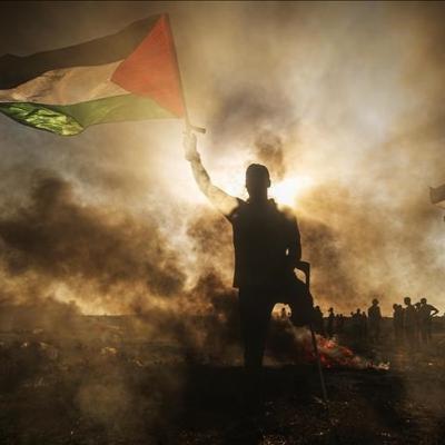 470 يومًا من الإبادة والتواطئ العالمي والصمود الفلسطيني