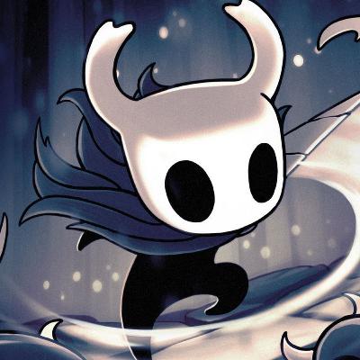 Hollow Knight - Unknown Facts & Hidden Secrets