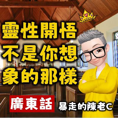 032-靈性開悟不是你想象的那樣-10小時全集