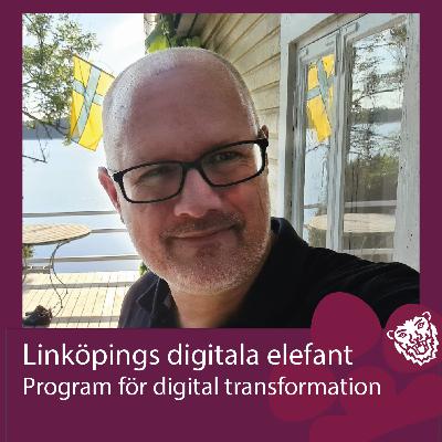 Program för digital transformation