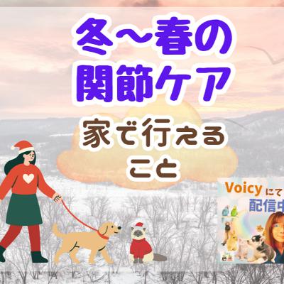 #1052. 一般公開LIVE：私の活動について & 季節の変わり目は関節が悪くなる？🐶🐱