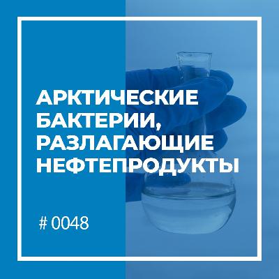 Арктические бактерии, разлагающие нефтепродукты Арктические бактерии, разлагающие нефтепродукты