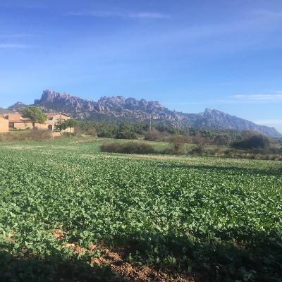 Cuarto episodio: Contenidos de la cátedra de Gestión Ambiental para empresas Hoteleras. Cuarto episodio: Contenidos de la cátedra de Gestión Ambiental para empresas Hoteleras.