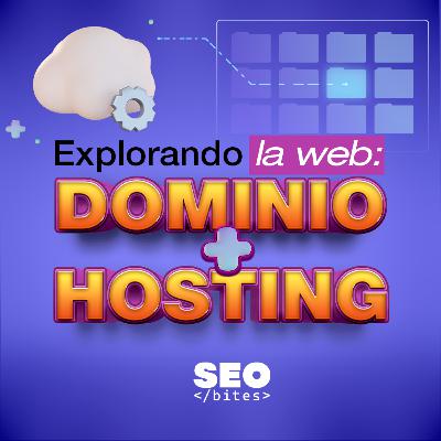 ¡Qué es dominio y hosting?