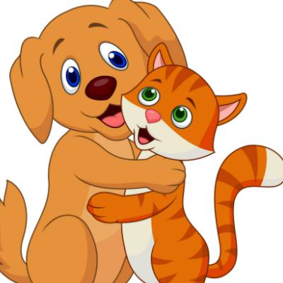 Dogs Breeds for Cats & Introducing Them!