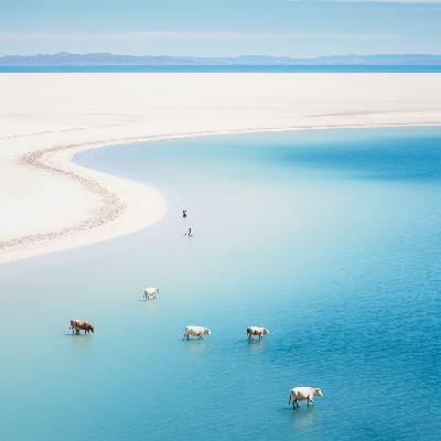 EP11 余华的18岁,那个文学可以成为顶流的7080年代 EP11 余华的18岁,那个文学可以成为顶流的7080年代