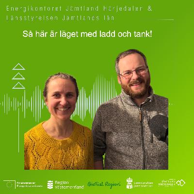 Så här är läget med ladd och tank till 2030
