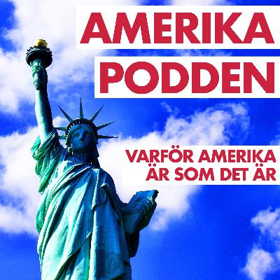 240: Att leva i en klicktokrati 240: Att leva i en klicktokrati