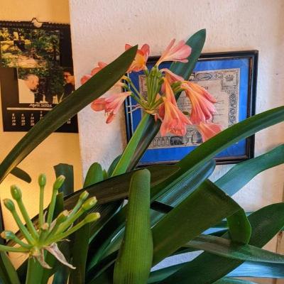 Ungeeignete Werber ablehnen. Ungeeignete Werber ablehnen.