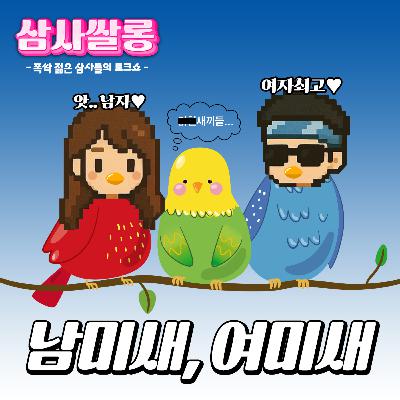 3화 - 남미새 vs 여미새