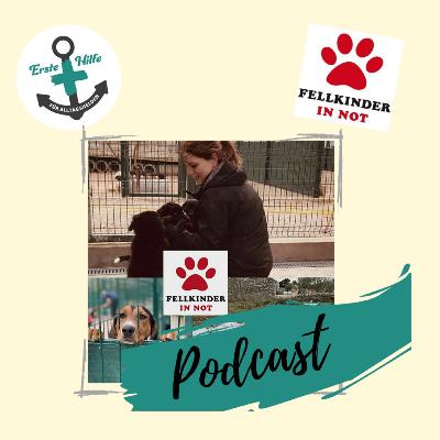 Fellkinder in Not mit Julia Teil 1 🐾🐶💝 Fellkinder in Not mit Julia Teil 1 🐾🐶💝
