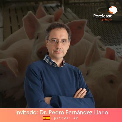 #48 - El motor oculto de la productividad: El sistema digestivo - Dr. Pedro Fernández Llario