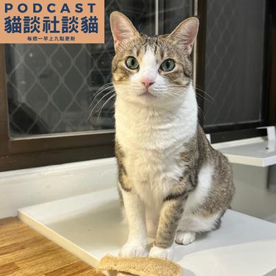 EP209 多的是我不知道的事(下) EP209 多的是我不知道的事(下)