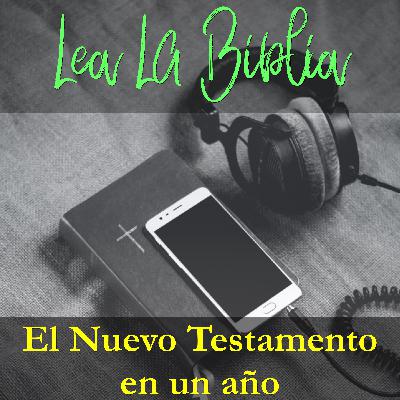 Lectura bíblica para el 31/12/20