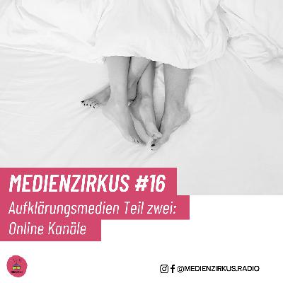 16. Aufklärungsmedien Teil 2, Online Kanäle: Sexuelle Bildung via YouTube, TikTok und Co.
