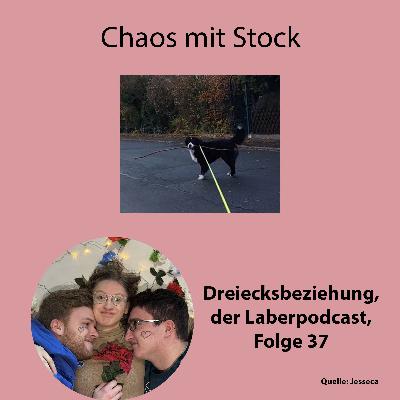 Folge 37 - Chaos mit Stock