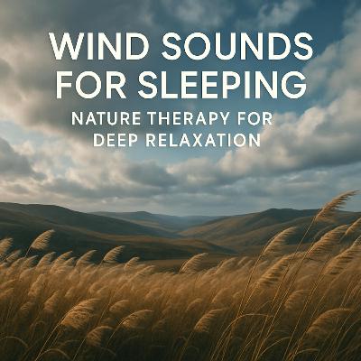 Wind Sounds for Sleeping | Nature Therapy for Deep Relaxation