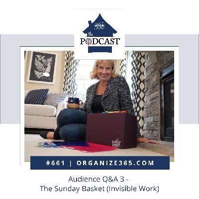 661 - Audience Q&A 3 - The Sunday Basket (Invisible Work)